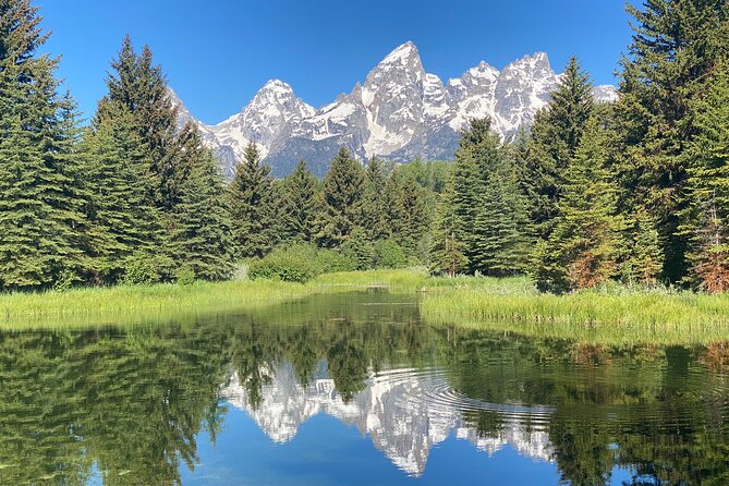 Private Full-Day Grand Teton National Park Tour with Picnic Lunch - Key highlights that matter