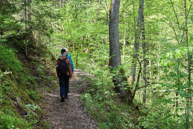 Private Full-Day Hiking Tour in Sigulda and Gauja National Park - Key highlights I’d circle first