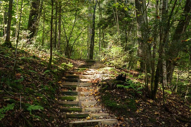 Private Full-Day Hiking Tour in Sigulda and Gauja National Park - Picnic break and what to bring for an 8-hour day