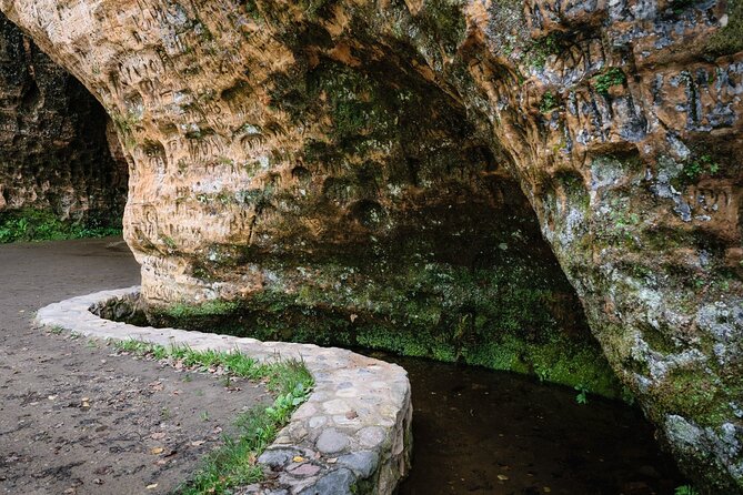 Private Full-Day Hiking Tour in Sigulda and Gauja National Park - Meet the guide: how Rihard helps the day feel personal