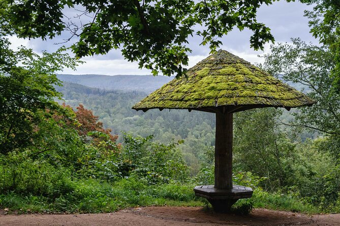 Private Full-Day Hiking Tour in Sigulda and Gauja National Park - Who should book this Sigulda and Gauja hiking tour