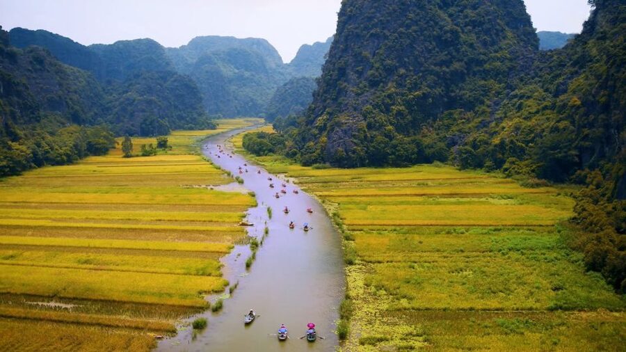 Private Full Day Tam Coc, Cuc Phuong National Park W/ Lunch - Cave of Early Man and old trees in the forest