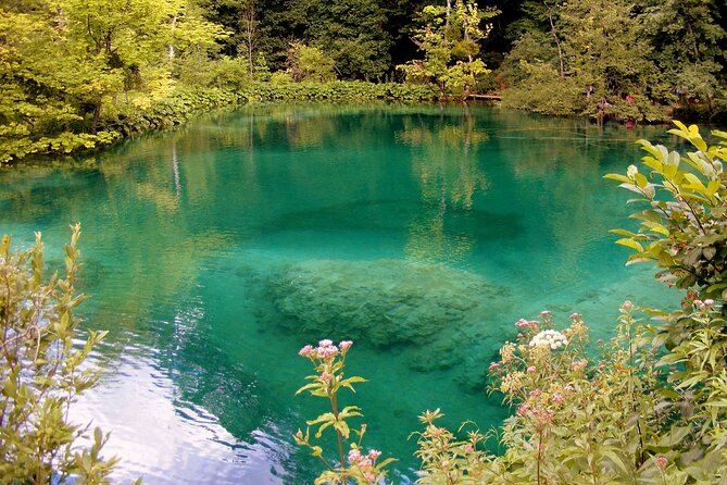 Private Full-Day Tour in Plitvice Lakes National Park from Zadar - Price and value: what you’re paying for (and what’s extra)