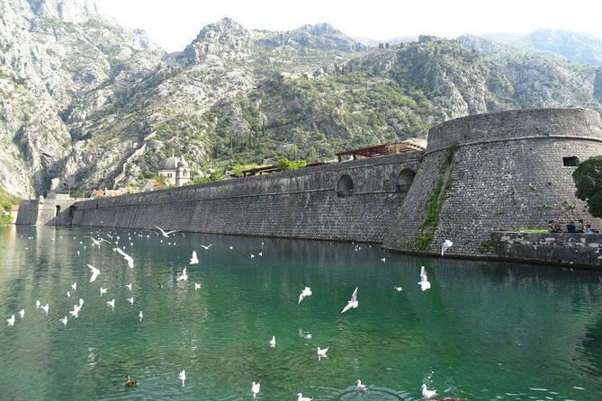 Private Full-Day Tour -Kotor tour, Saint Stefan & NP Skadar Lake - Price and timing: is $156.53 per person good value?