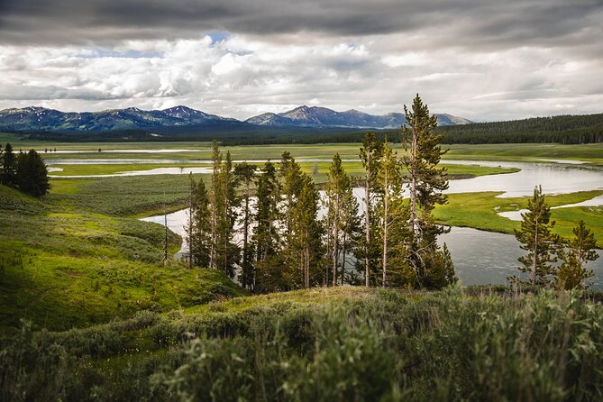 Private Full-Day Yellowstone National Park Tour - Private Yellowstone from Jackson Hole: stress-free, photo-ready days