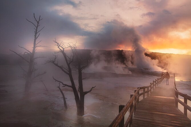 Private Full-Day Yellowstone National Park Tour - Grand Canyon of the Yellowstone: Upper and Lower Falls viewpoints