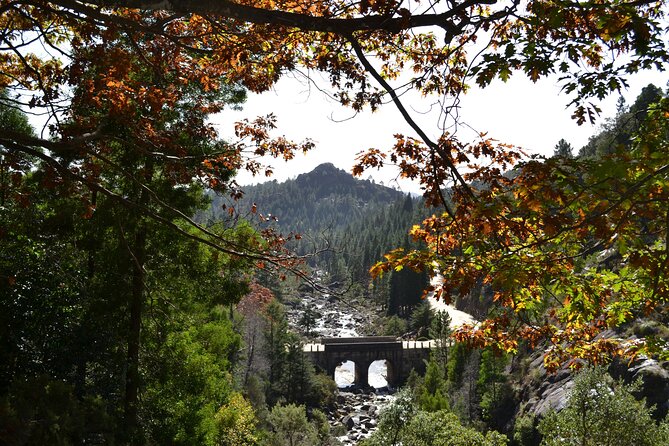 Private Geres National Park Tour with Lunch and Transfers - Should You Book This Peneda-Gerês Private Tour?