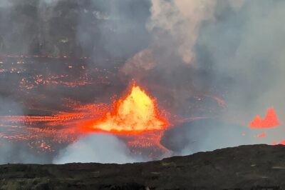 Private Guide Meet In Hawaii Volcanoes National Park - Nahuku–Thurston Lava Tube: the 600+ year-old walk you’ll remember