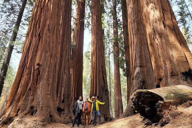 Private Guided Hiking Tour - Sequoia National Park - Key highlights to know before you go