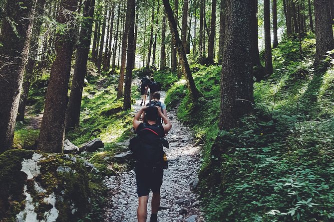 Private Guided Hiking Tour - Sequoia National Park - The drive-thru Sequoia log stop: the fun detour that’s actually memorable