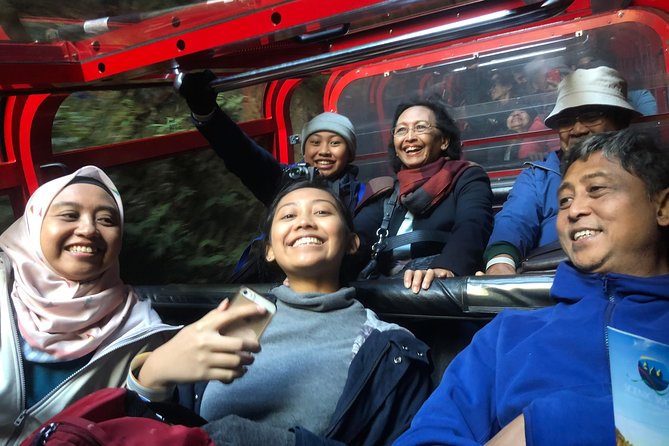 Private Guided Tour from Sydney to Blue Mountains National Park - Leura and Blackheath: a breather from cliff chasing