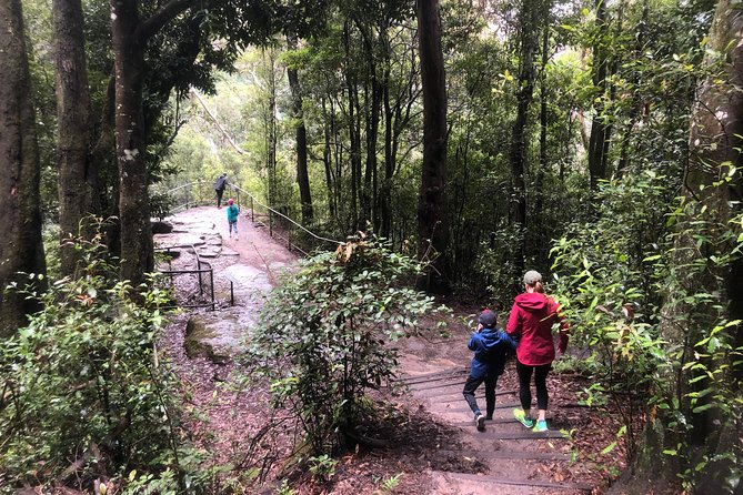 Private Guided Tour from Sydney to Blue Mountains National Park - Jamison Valley by rail and cable: what to expect and how to plan your energy