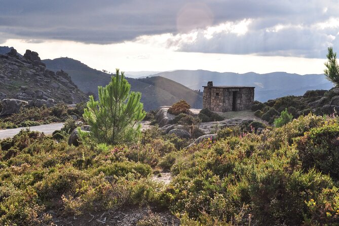 Private Guided Tour - Peneda Gerês National Park - Key highlights you’ll actually feel