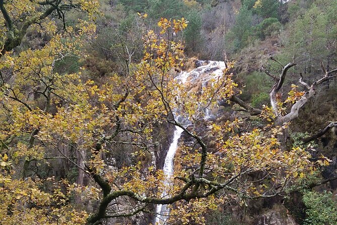Private Guided Tour - Peneda Gerês National Park - Barragem Canicada (Albufeira da Caniçada): reservoir time that feels like a reset