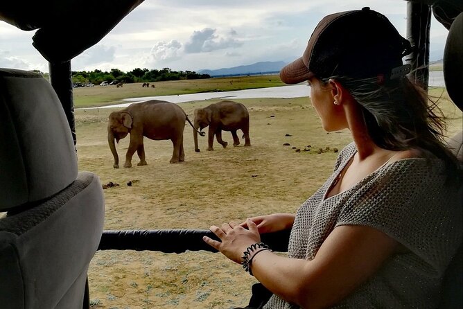 Private Half Day Safari in Udawalawe National Park - Getting the best wildlife results from a half-day window