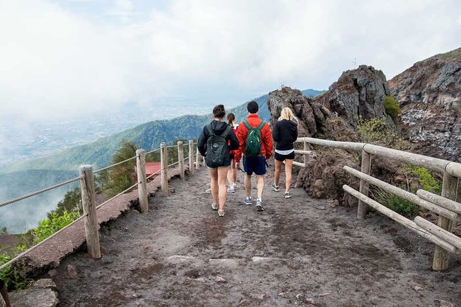 Private Half-Day Sightseeing Tour of Vesuvius National Park - Vesuvius National Park: what your crater walk feels like
