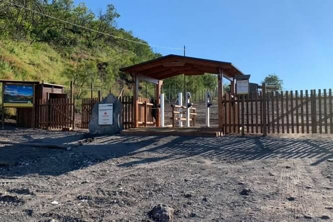 Private Half-Day Sightseeing Tour of Vesuvius National Park - Language and communication: what to expect with the English option
