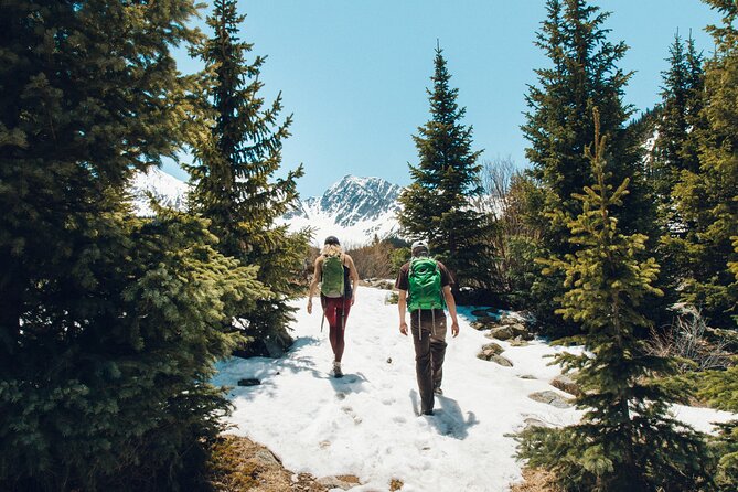 Private Hike Emerald Lake In Rocky Mountain National Park - Estes Park in One Hour: Town Stops, Easy Walking, Wildlife Chances