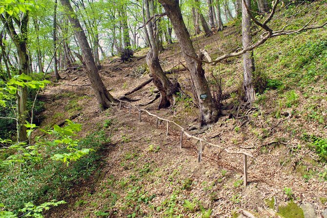 Private Hiking Tour to Machakhela National Park from Batumi - Pickup, transport, and a private pace from Batumi