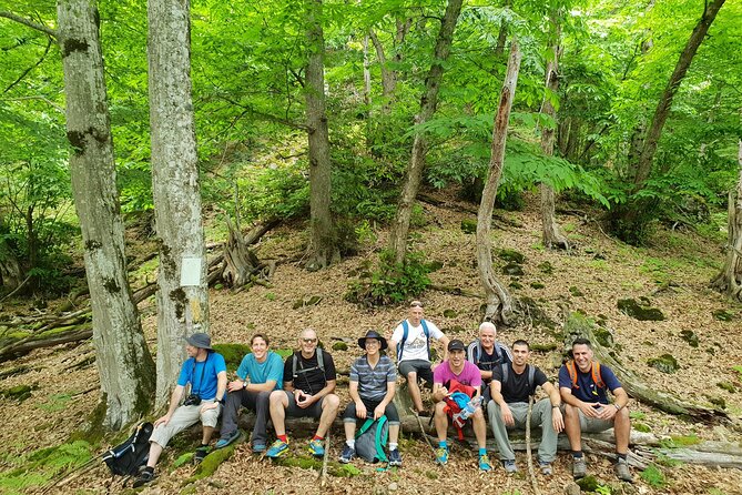 Private Hiking Tour to Machakhela National Park from Batumi - Weather matters: how to decide if this is the right day
