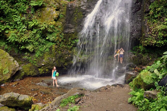 Private Hiking Tour to Mtirala National Park from Batumi - Key highlights I’d center in your planning