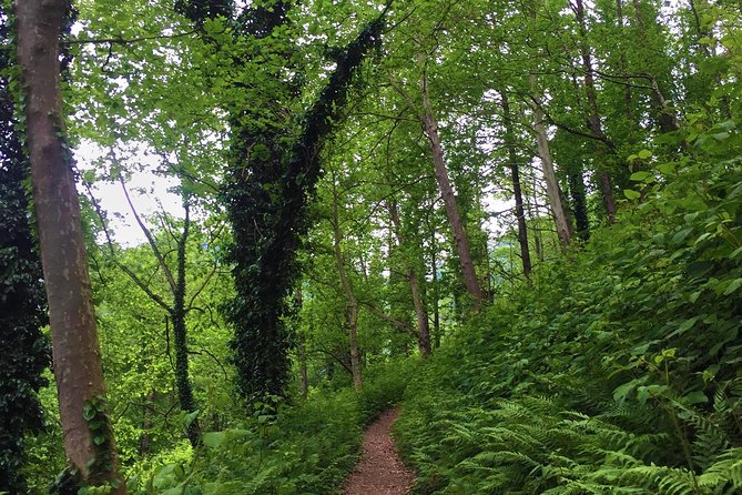 Private Hiking Tour to Mtirala National Park from Batumi - How Mtirala National Park fits into a half-day from Batumi