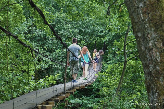Private Hiking Tour to Mtirala National Park from Batumi - Price and value: what $42.14 actually covers