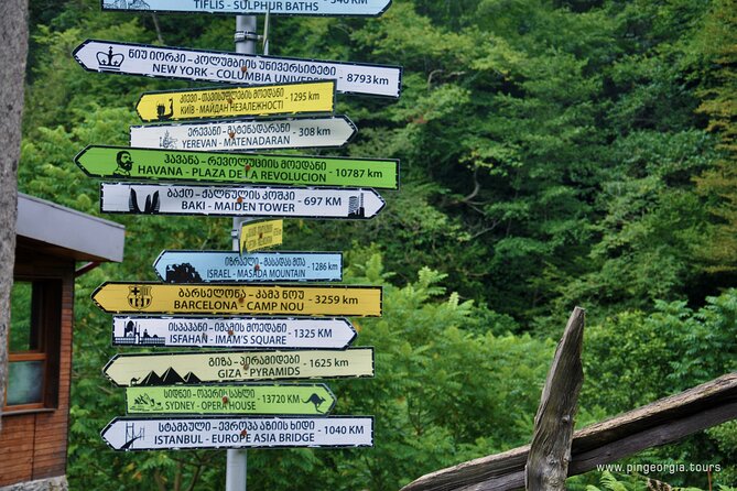 Private Hiking Tour to Mtirala National Park from Batumi - Who should book this Mtirala private hike?