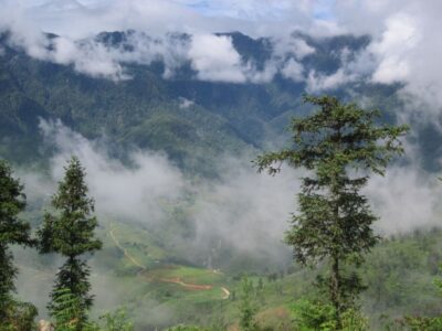 Private Hoang Lien National Park & Tribal Village Trek - The 10km trek through bamboo forest: what that dirt trail actually means