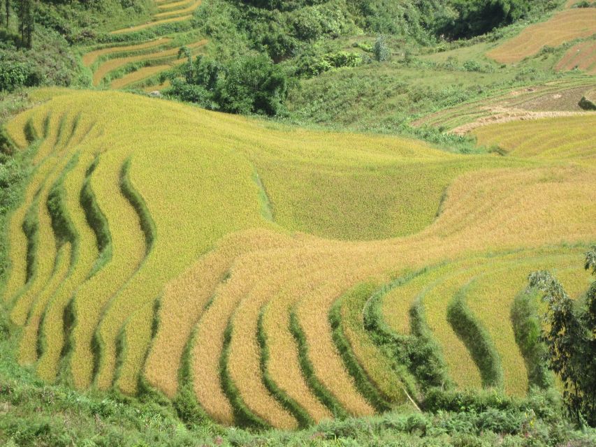 Private Hoang Lien National Park & Tribal Village Trek - Practical tips so the day feels smooth, not stressful