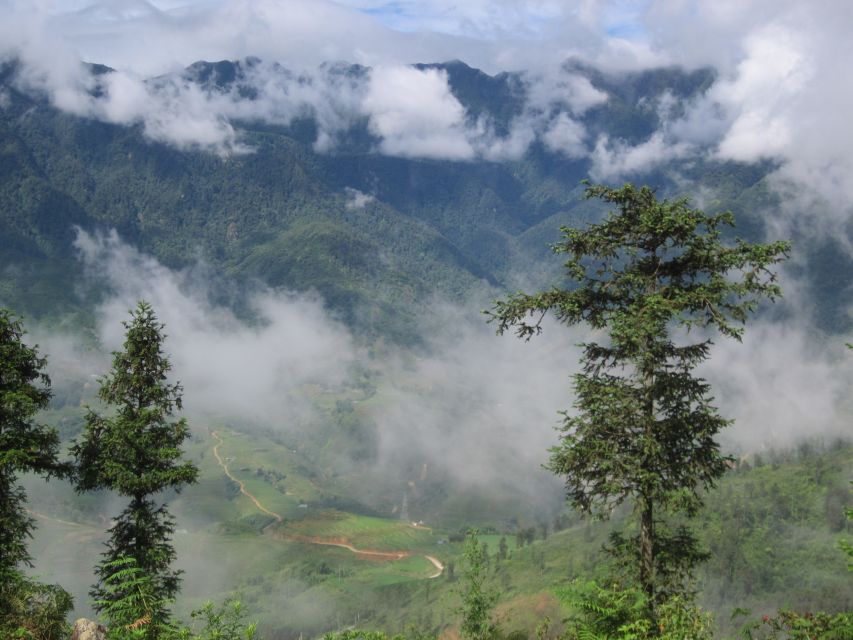 Private Hoang Lien National Park & Tribal Village Trek - The 10km trek through bamboo forest: what that dirt trail actually means