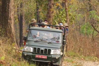 Private Jeep Safari (8-10 hrs.)inside Chitwan National Park. - Timing and Seasons: When Your Chances Feel Best