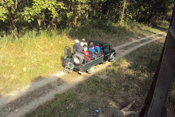 Private Jeep Safari (8-10 hrs.)inside Chitwan National Park. - The Guide Makes the Difference: Waiting, Positioning, and Bird Focus