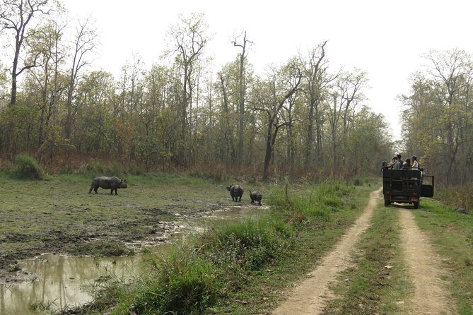 Private Jeep Safari (8-10 hrs.)inside Chitwan National Park. - Lunch Box, Water, and a Real Full-Day Pace