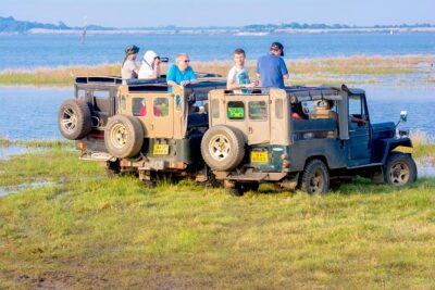 Private Jeep Safari at Minneriya National Park - Your 3.5-Hour Jeep Safari Plan, From Pickup to Return