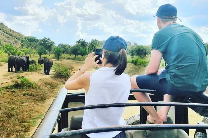 Private Jeep Safari at Minneriya National Park - Comfort Tips for a Real Jeep Day in the Park