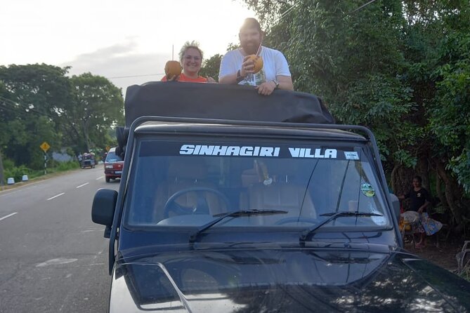 Private Jeep Safari at Minneriya National Park to Visit Elephants - What If You Go to Kaudulla Instead