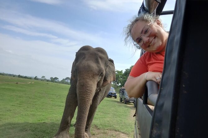 Private Jeep Safari at Minneriya National Park to Visit Elephants - Or Hurulu Eco-Park for Elephant Odds