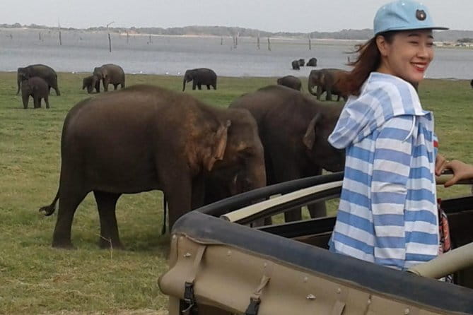 Private Jeep Safari To one of a Best National Park - What Your Guide Actually Brings to the Safari
