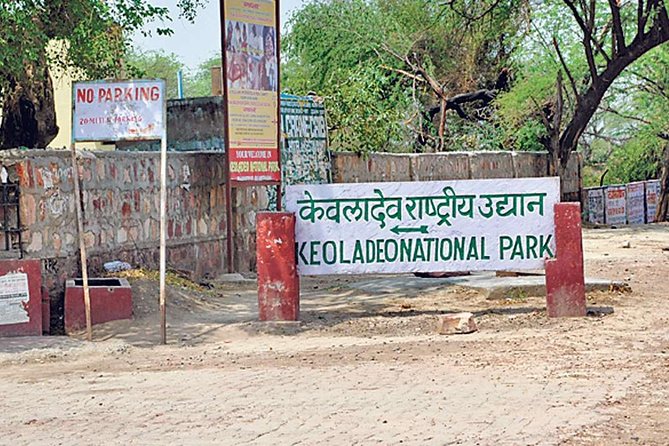 Private Keoladeo National Park Tour sightseeing - All Inclusive - Price and Value: Why $51.03 Can Add Up Here