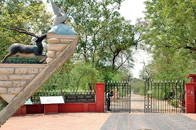 Private Keoladeo National Park Tour sightseeing - All Inclusive - The Private Rickshaw Format: Focused Birding, Not a Walking Test