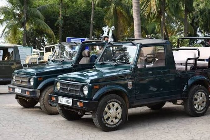 Private Lion Safari in the Gir National Park in Gujarat - Where the lions of Gir really live (and why it feels special)