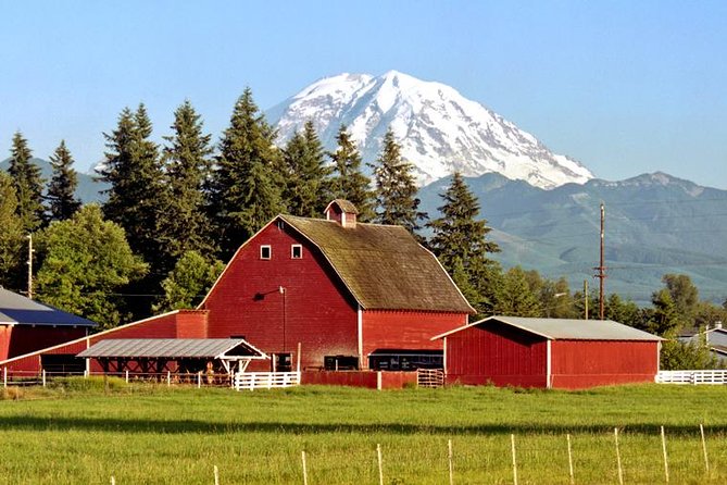 Private Mt Rainier National Park Day Trip from Seattle - The Value Equation: What You’re Paying For