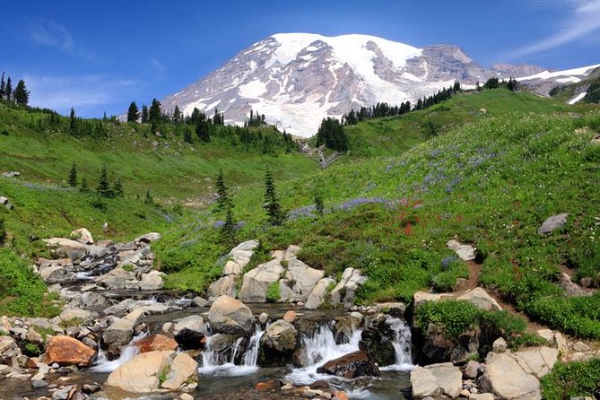 Private Mt Rainier National Park Day Trip from Seattle - Longmire and the Longmire Museum: A Short Stop With Real Context