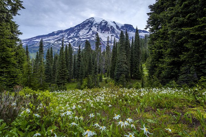 Private Mt Rainier National Park Day Trip from Seattle - The “Water and Views” Loop: Reflection Lakes, Narada Falls, and Christine Falls