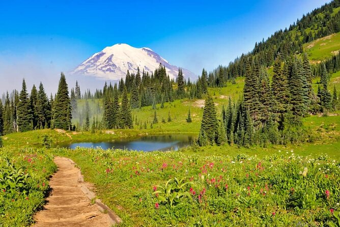 Private Mt Rainier National Park Tour in SUV - Key things I’d plan around on this Mt. Rainier SUV tour