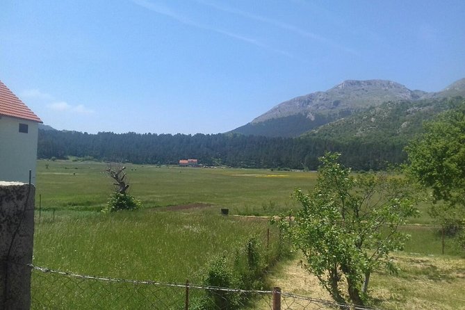 Private National Park Lovcen with food and wine tasting - Price and value: why $210.25 can work out well for a private half-day