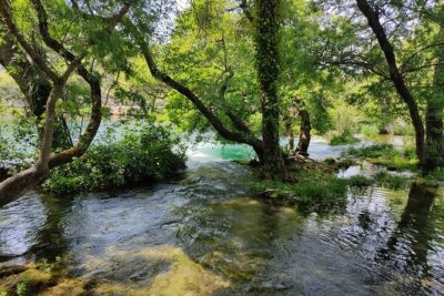 Private Roundtrip Transfer from Zadar to Krka National Park - Morning pickup at cruise port or airport: look for the sign