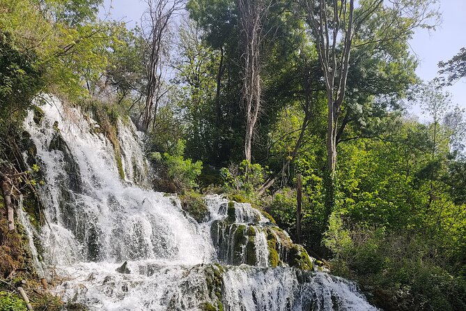 Private Roundtrip Transfer from Zadar to Krka National Park - Zadar return: same spot pickup, less hassle than public transport