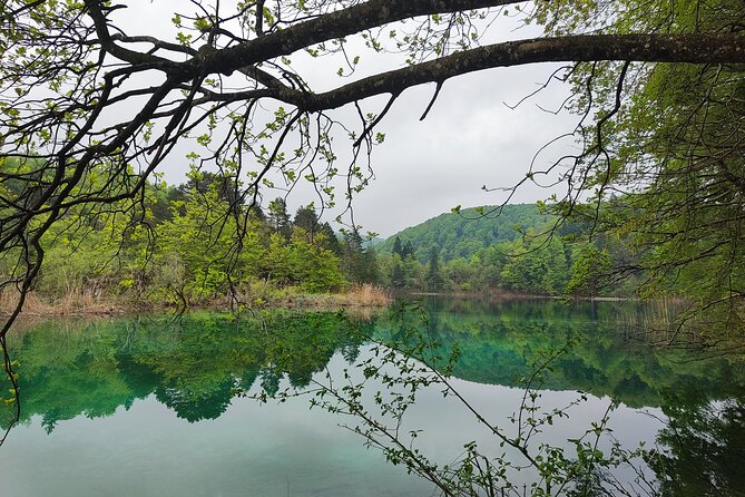 Private Roundtrip Transfer from Zadar to Plitvice National Park - How This Zadar-to-Plitvice Transfer Works From Pickup to Return